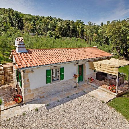 Roinizza In Prtlog Villa Labin  Buitenkant foto