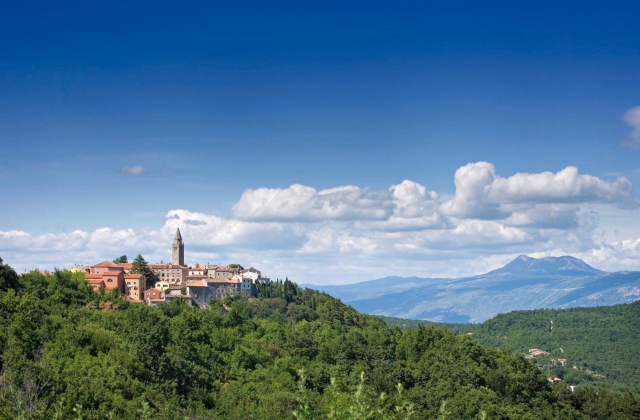 Roinizza In Prtlog Villa Labin  Buitenkant foto