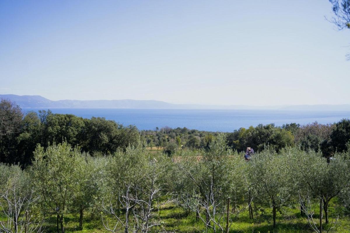 Roinizza In Prtlog Villa Labin  Buitenkant foto