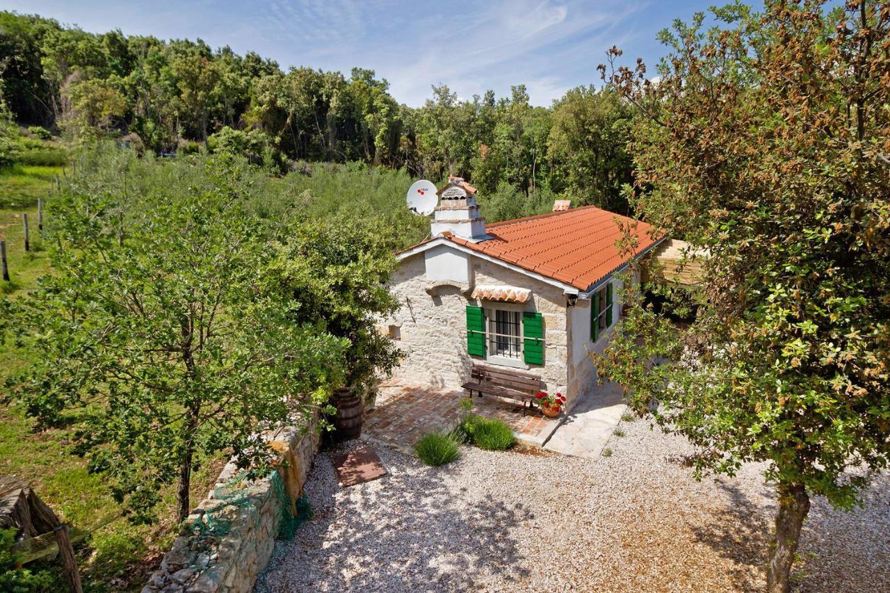 Roinizza In Prtlog Villa Labin  Buitenkant foto