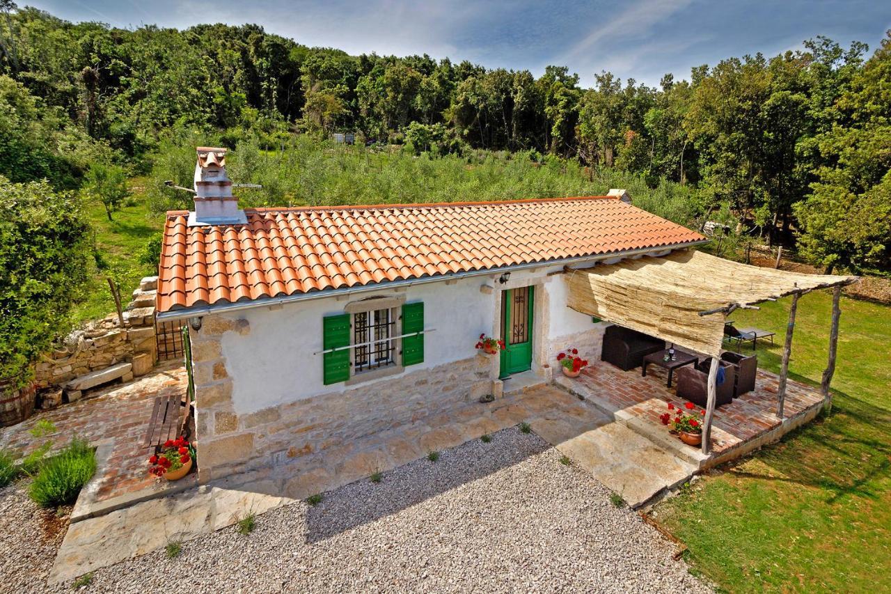 Roinizza In Prtlog Villa Labin  Buitenkant foto