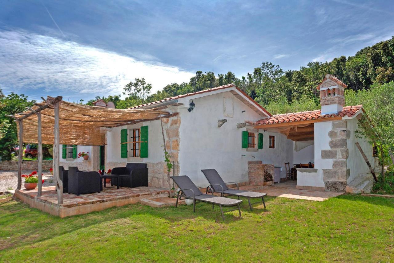 Roinizza In Prtlog Villa Labin  Buitenkant foto