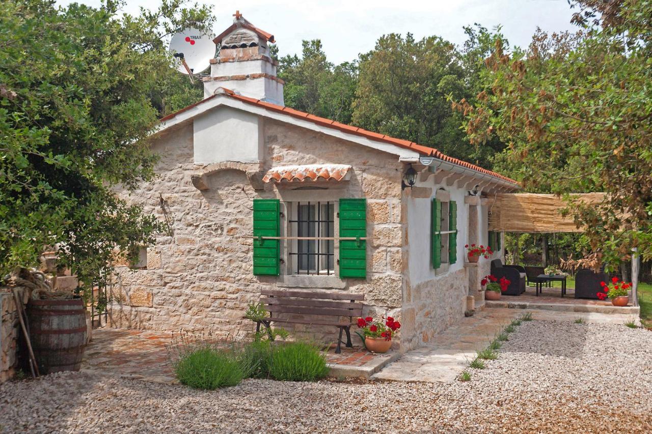 Roinizza In Prtlog Villa Labin  Buitenkant foto