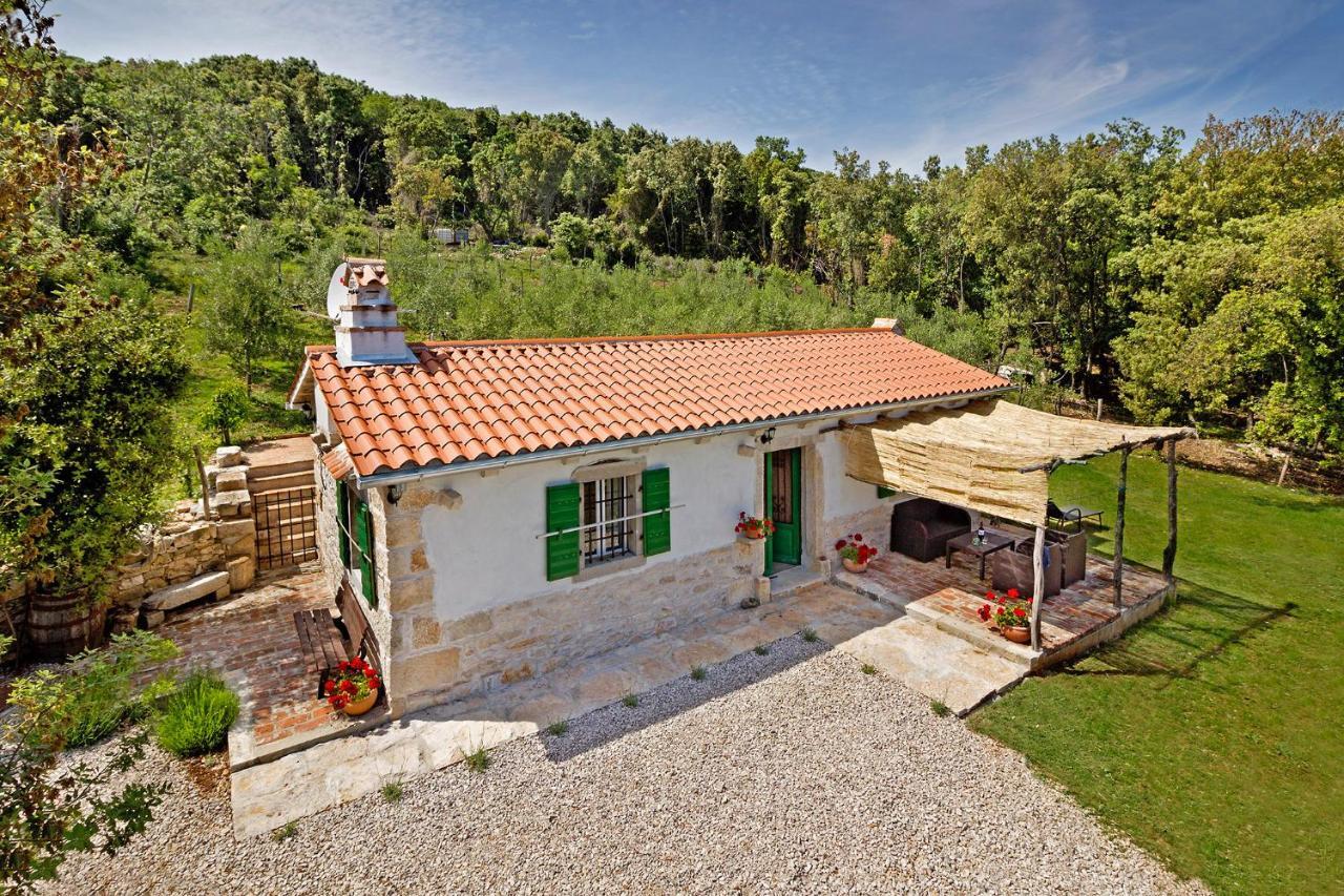 Roinizza In Prtlog Villa Labin  Buitenkant foto