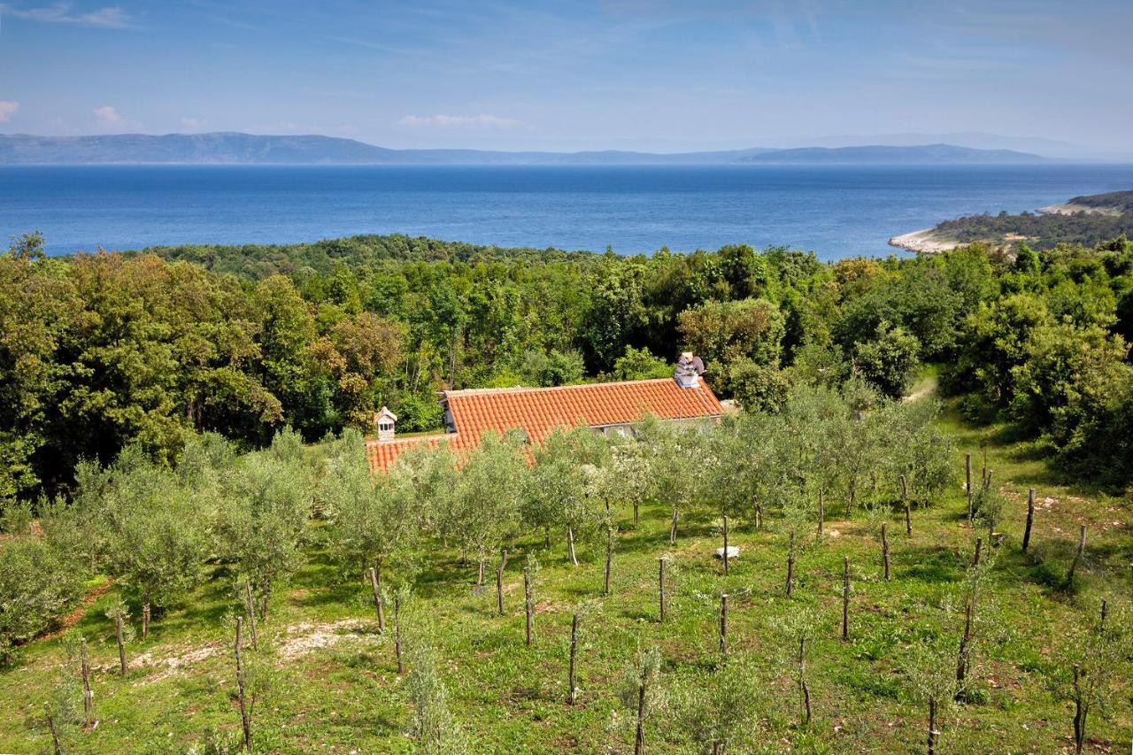 Roinizza In Prtlog Villa Labin  Buitenkant foto